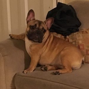 Meet your Posher, Robert